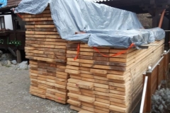 2019JulibisNovembert071