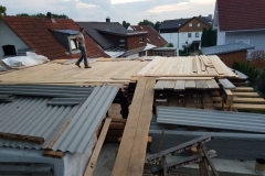 2019JulibisNovembert078