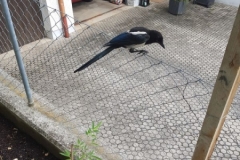 20180629_153206