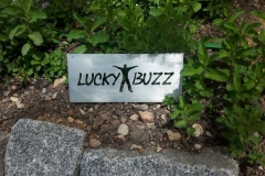 20180429_140727[1916]klein