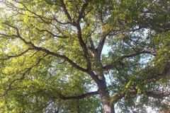 20180513_182503