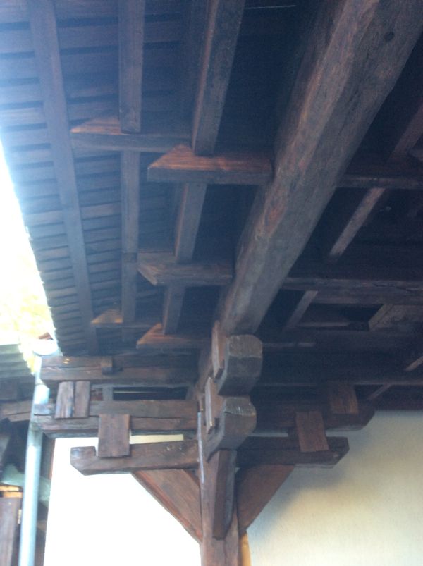 Lucky Lodge